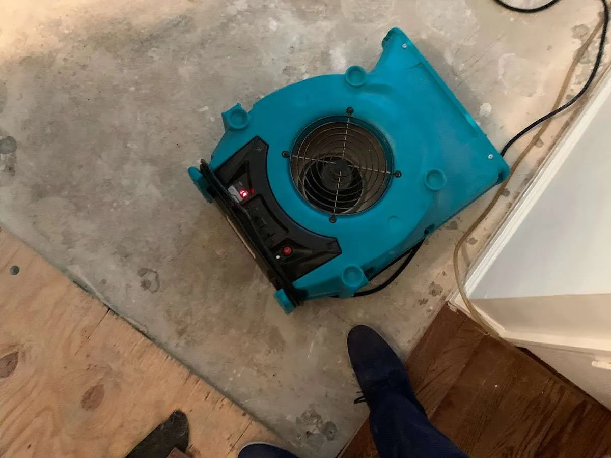 Air mover drying subfloor during Commercial Water Damage Restoration in Deming